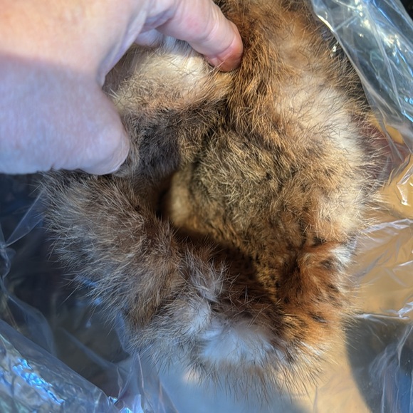 Donald J Pliner -Duscha Expresso/Beige Vachetta/Cheetah Shearling Boots - Picture 7 of 8